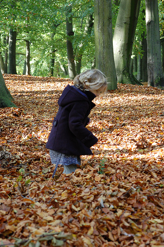 kind in de bladeren